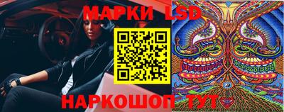 гидропоника Ярославль