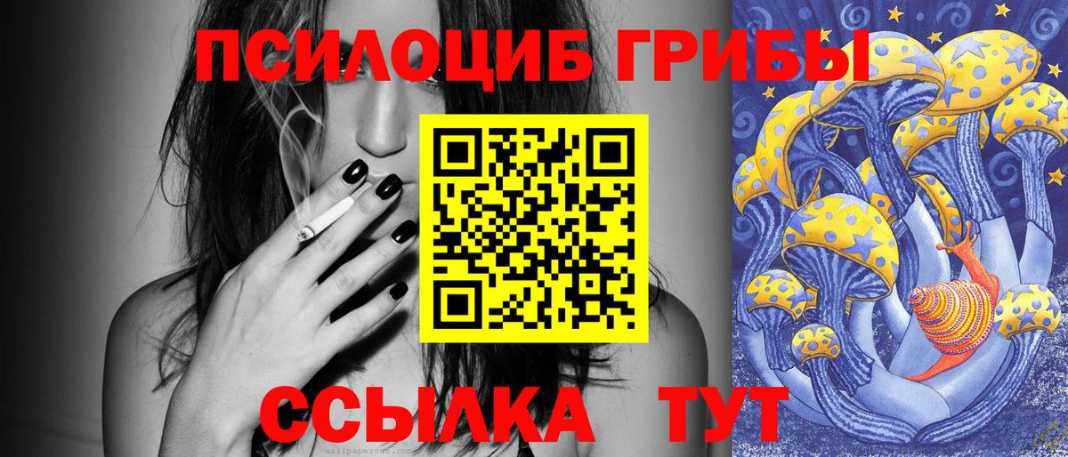 Галлюциногенные грибы мицелий Городец